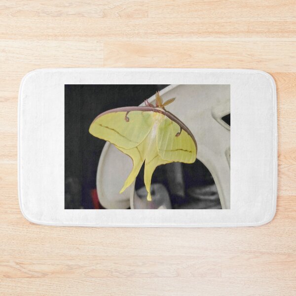 Item preview, Luna Moth designed and sold by ColderDesignLab.