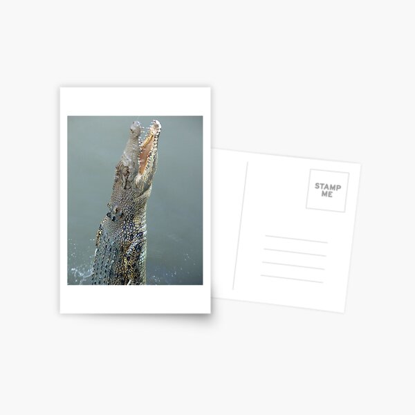 Jumping Croc Postcard