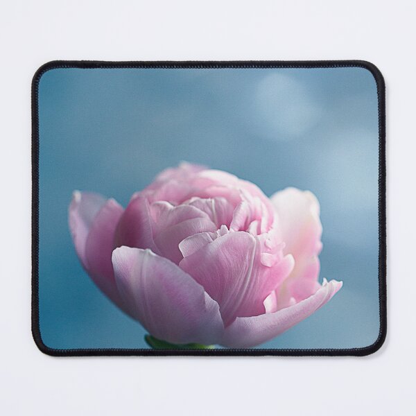 Item preview, Single Pastel Pink Tulip designed and sold by Gbenonys Art.