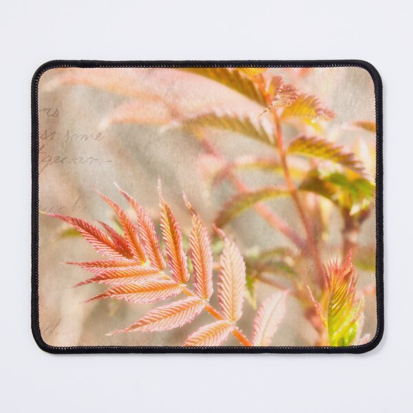 Item preview, Fall Season designed and sold by Gbenonys Art.