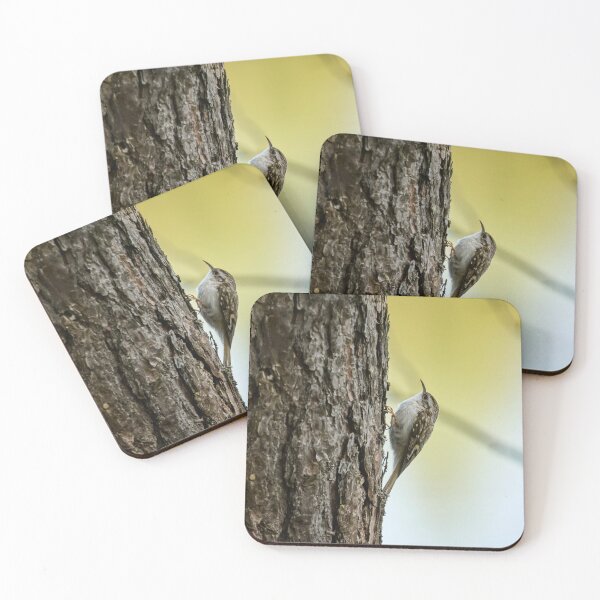 Item preview, Treecreeper in the light of late spring designed and sold by Jouko Lehto Photography.