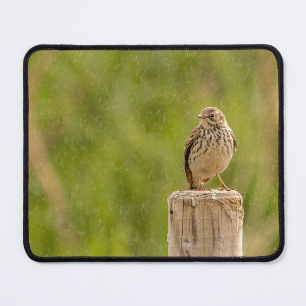 Item preview, In the rain designed and sold by Gbenonys Art.