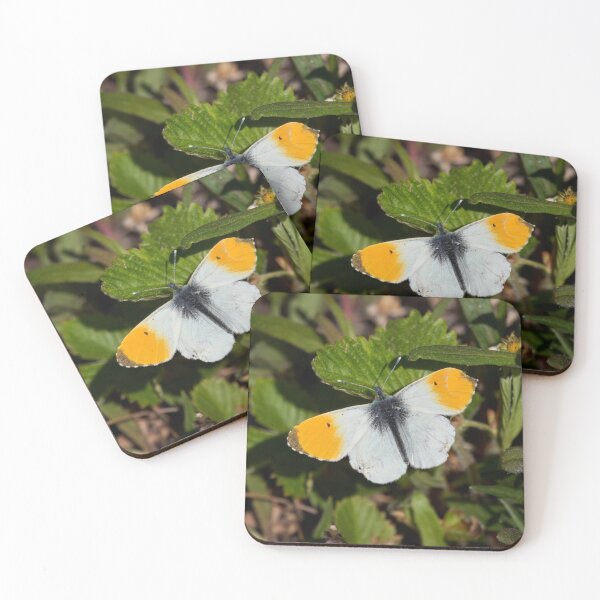 Item preview, Orange-tip spring designed and sold by Jouko Lehto Photography.