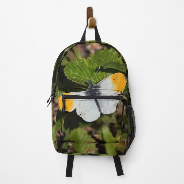 Item preview, Orange-tip spring designed and sold by Jouko Lehto Photography.