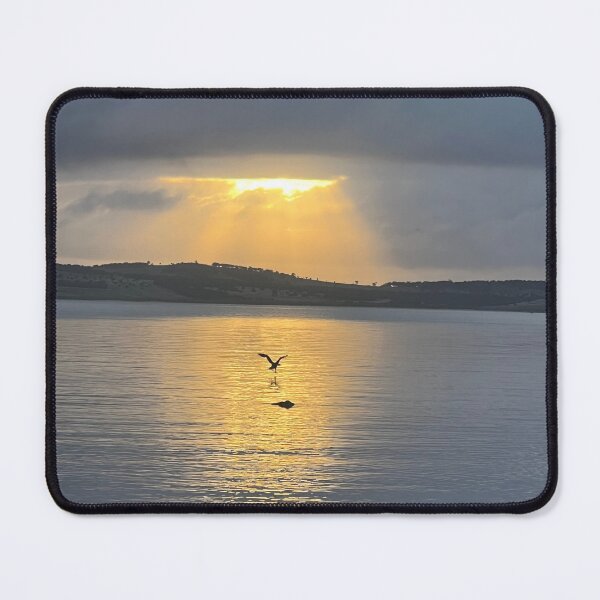 Item preview, Port Lincoln sunrise with seagull. designed and sold by BlackMonkey5606.