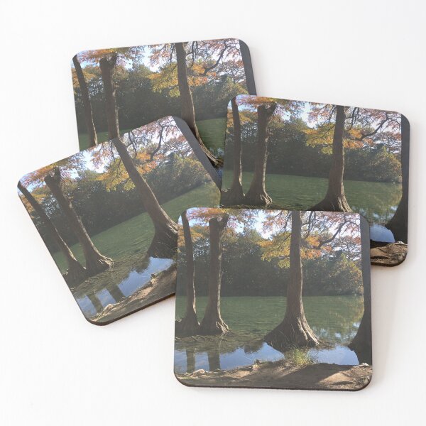 Item preview, Bald Cypress - Garner State Park, TX designed and sold by Mishamigo46.