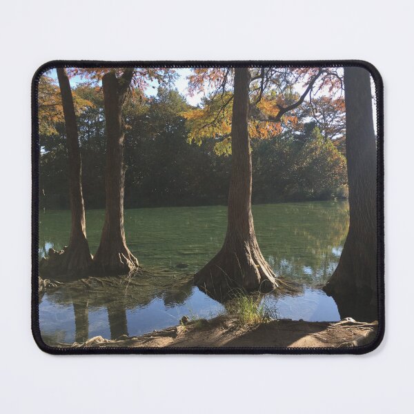 Item preview, Bald Cypress - Garner State Park, TX designed and sold by Mishamigo46.