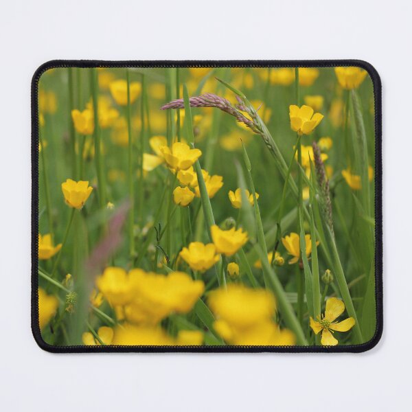 Item preview, Buttercups designed and sold by Vicki Spindler (VHS Photography).