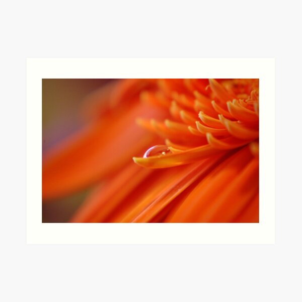 Orange Juice Art Print