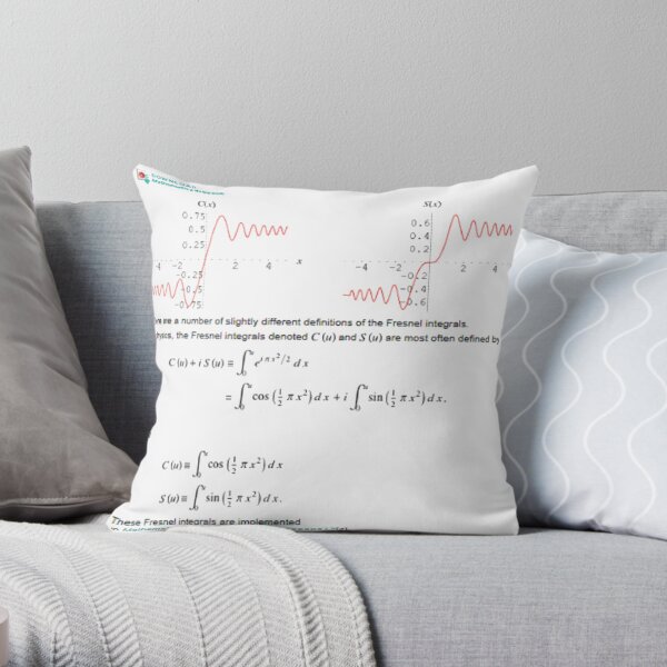 Mathematics Throw Pillow