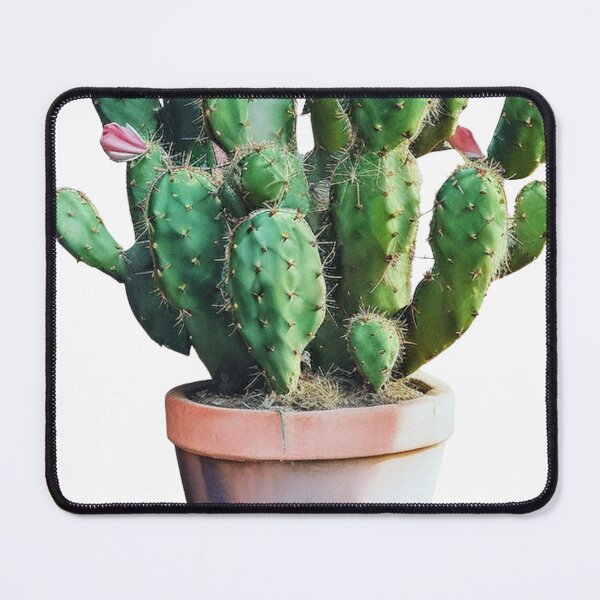 Item preview, Cactus Lover 004 designed and sold by Tonycnx-shop.
