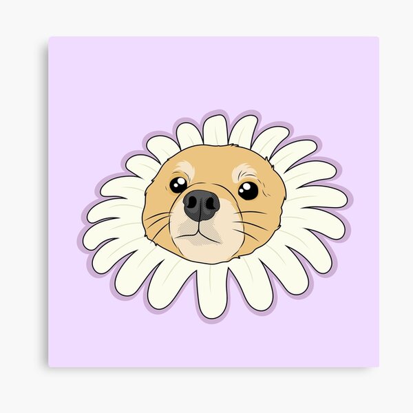 Pomeranian Memes Canvas Prints for Sale | Redbubble