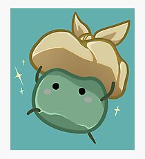 Junimo Photographic Print