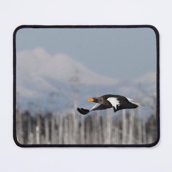 Item preview, Steller's sea eagle designed and sold by Yves Roumazeilles (Wild Focus).