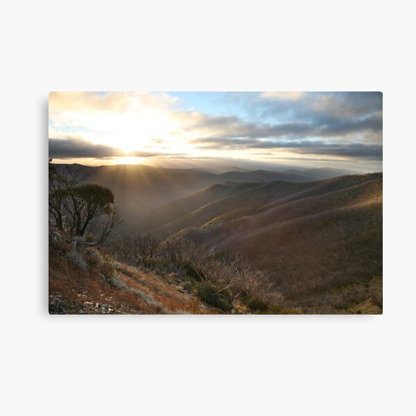 Last of the light, Mt Hotham, Australia Canvas Print