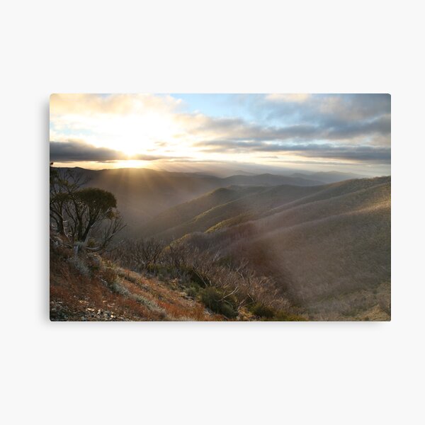 Last of the light, Mt Hotham, Australia Metal Print