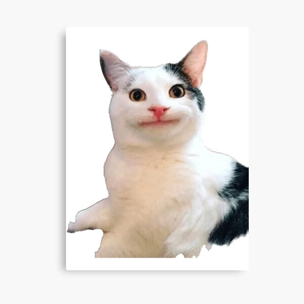 Beluga Cat Poster for Sale by Nagjin