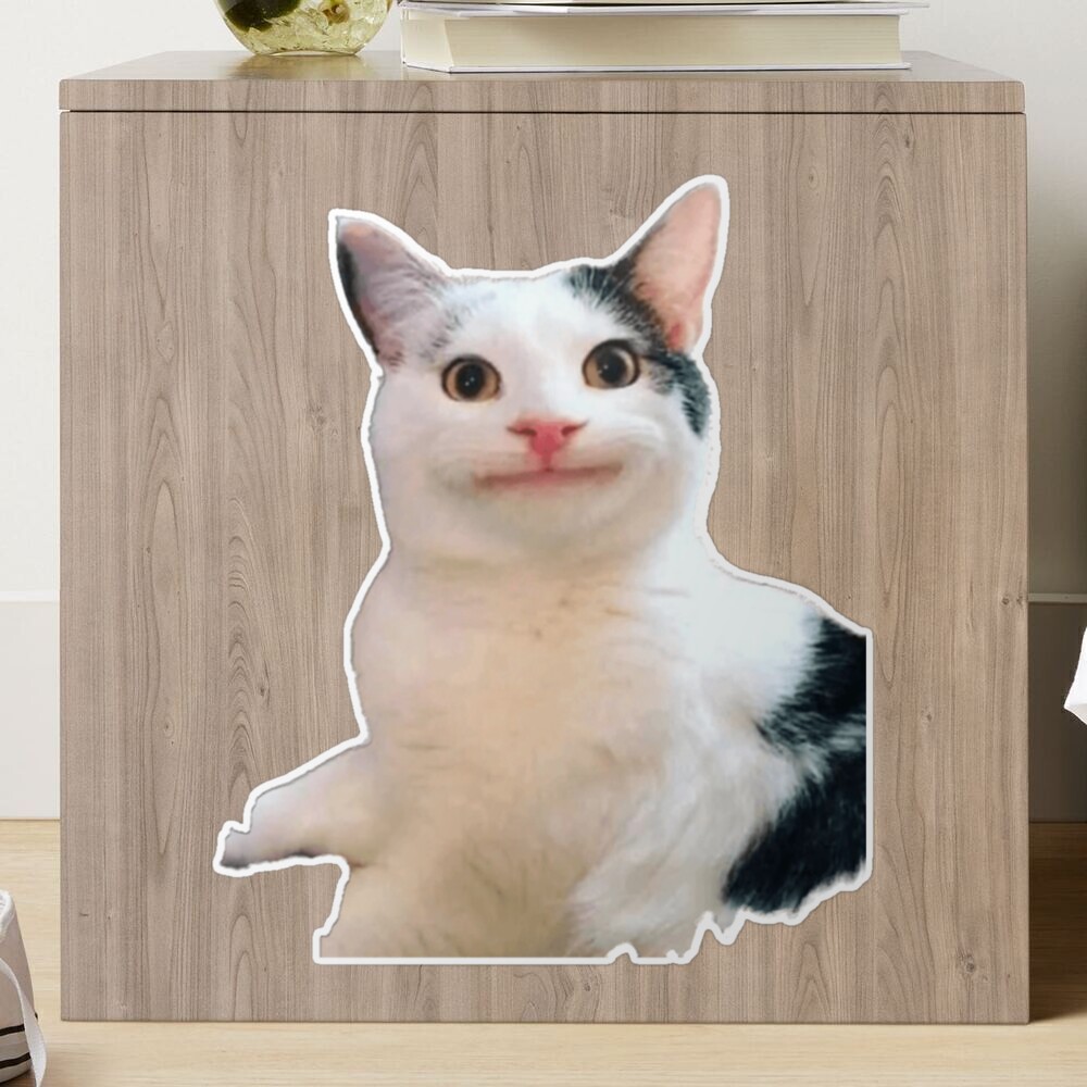 Beluga Cat Sticker for Sale by Nagjin in 2023