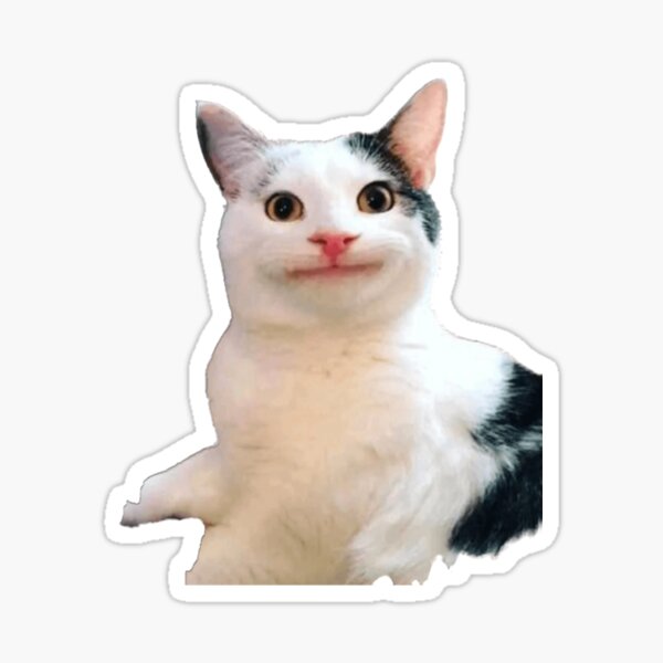 Beluga cat, Beluga Cat Meme, Meme Sticker for Sale by graphic-genie