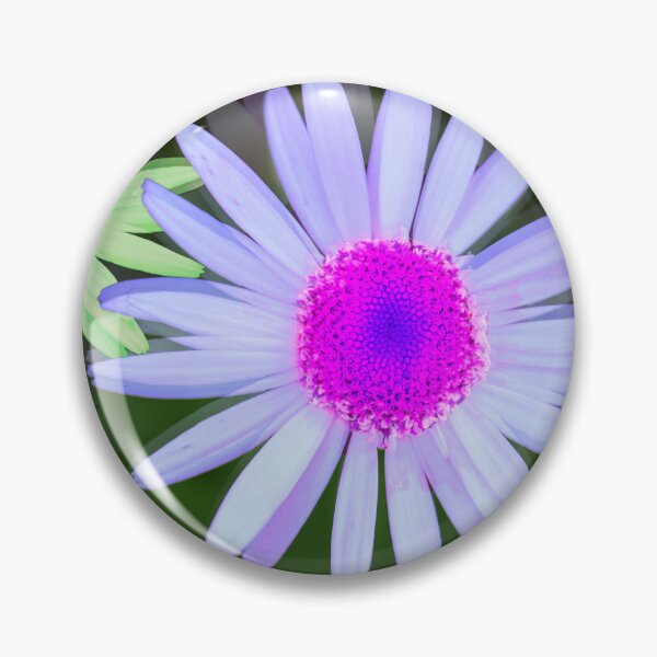 Item preview, Multi-colored Pastel Daisy Trio designed and sold by BostonArcImage.