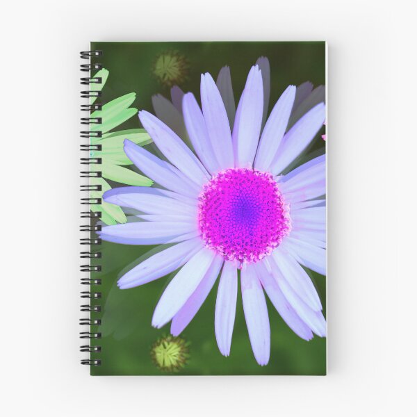 Item preview, Multi-colored Pastel Daisy Trio designed and sold by BostonArcImage.