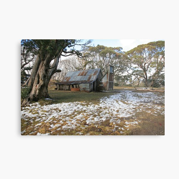 Wallace Hut, Falls Creek, Australia Metal Print