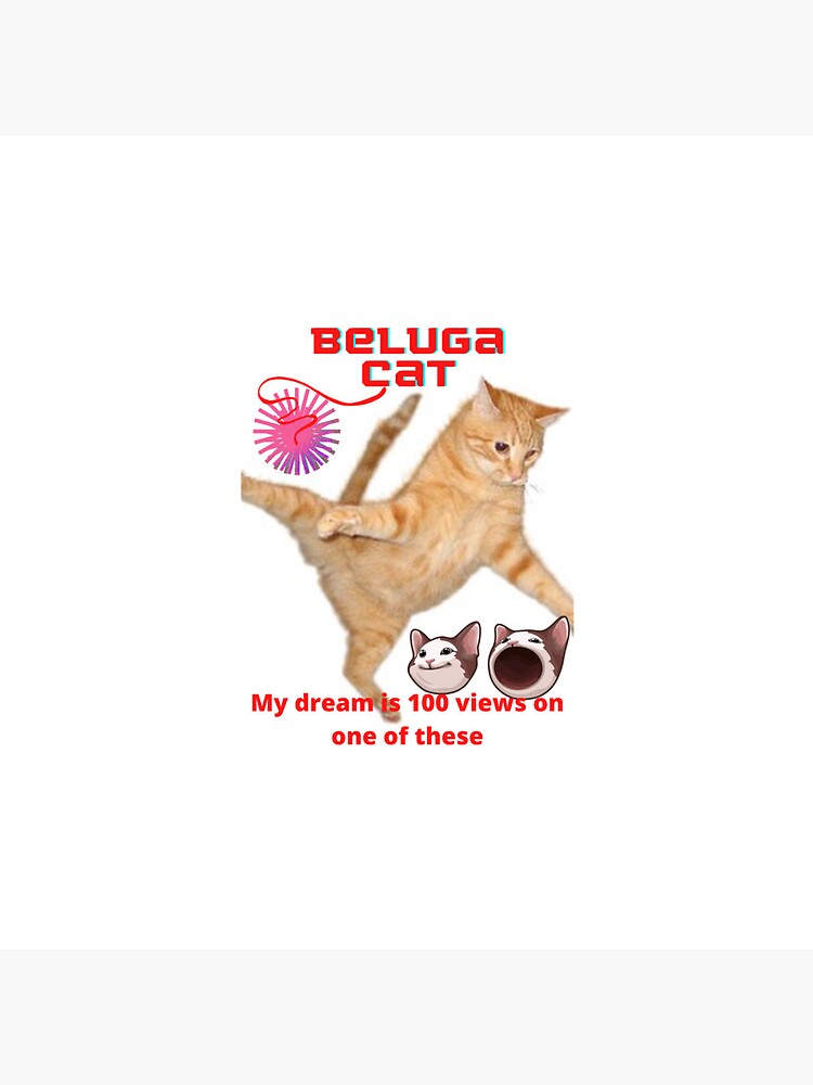 100+] Beluga Cat Pictures