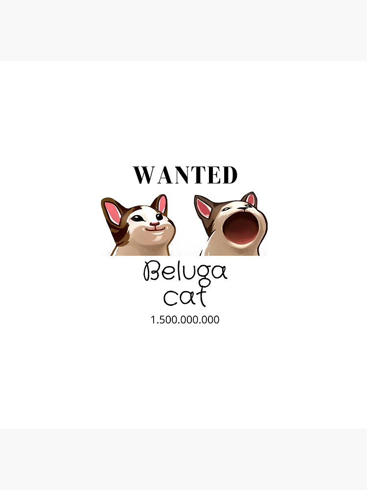 beluga cat discord pfp  Poster for Sale by Liamandlore