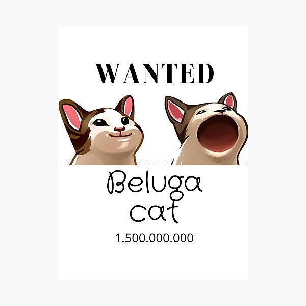 Beluga Cat Pfp Photographic Prints for Sale