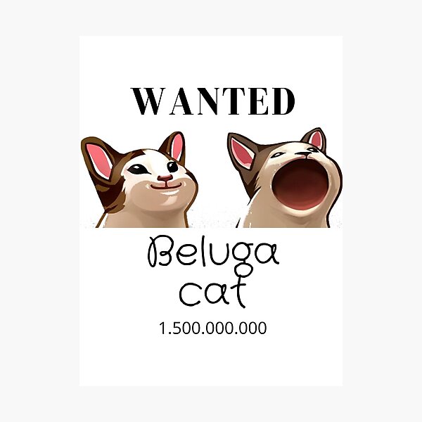 Beluga cat meme shitpost | Poster