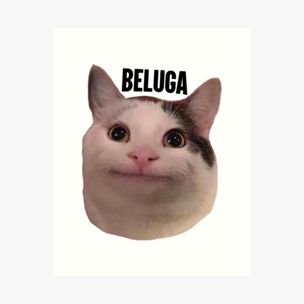 Beluga Cat Kids T-Shirt for Sale by LUCKY DESIGNER