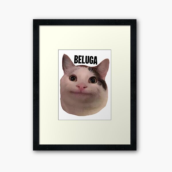 Steam Workshop::cat pfp beluga