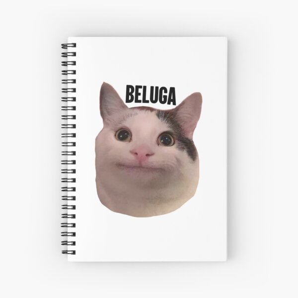 beluga cat meme  Photographic Print for Sale by alicjadesigns