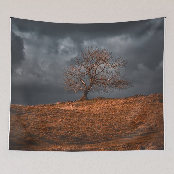 Item preview, Dramatic firey tree on a stormy winter sky in the Lake District designed and sold by chiaravisuals.