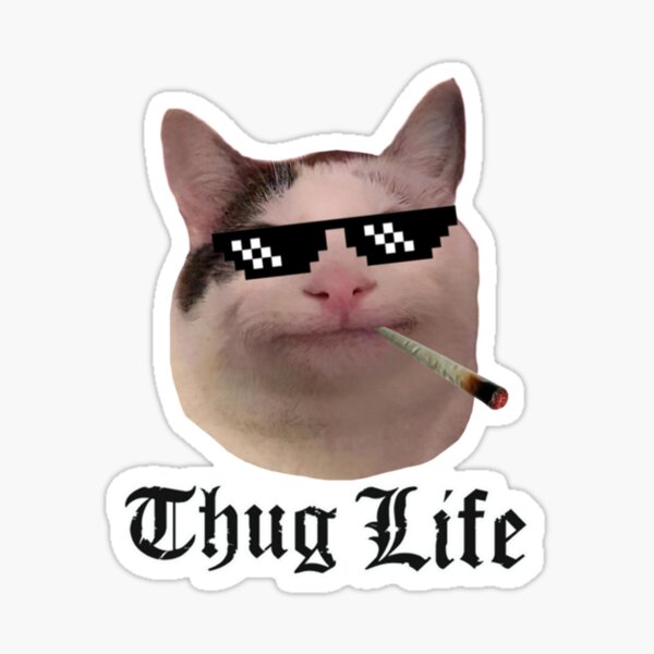 beluga cat meme  Sticker for Sale by alicjadesigns