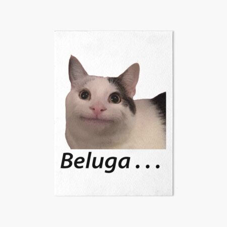 Smiling Cat Beluga - Cat Beluga Art Board Print for Sale by Kakoll