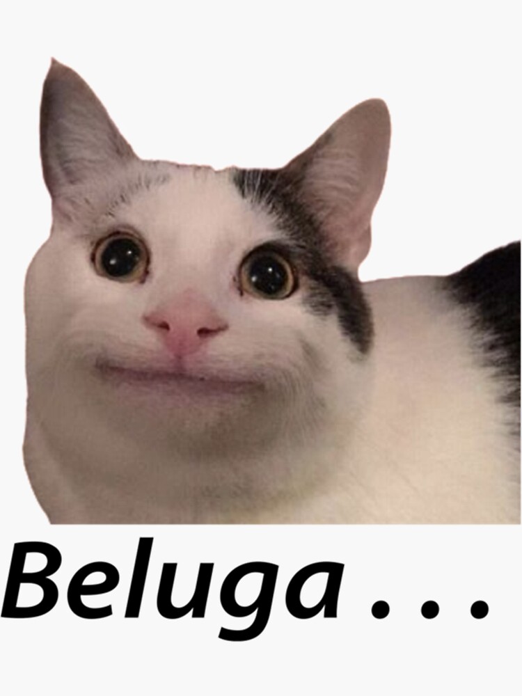Beluga cat, Beluga Cat Meme, Meme Sticker for Sale by graphic