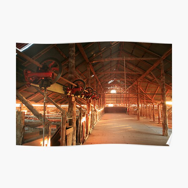 Dawn penetrates a Shearing Shed, Mungo National Park, Australia Poster