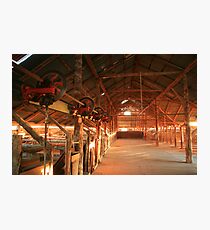 Dawn penetrates a Shearing Shed, Mungo National Park, Australia Photographic Print