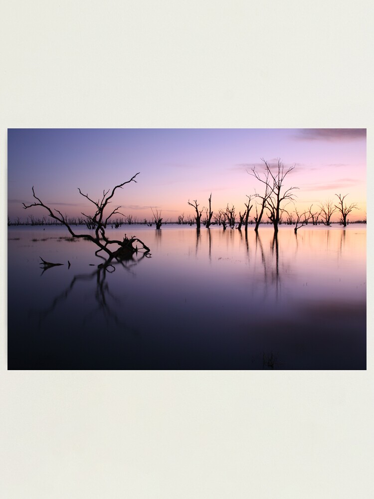 Thumbnail 2 of 3, Photographic Print, Lake Victoria Pre-Dawn, Australia designed and sold by Michael Boniwell.