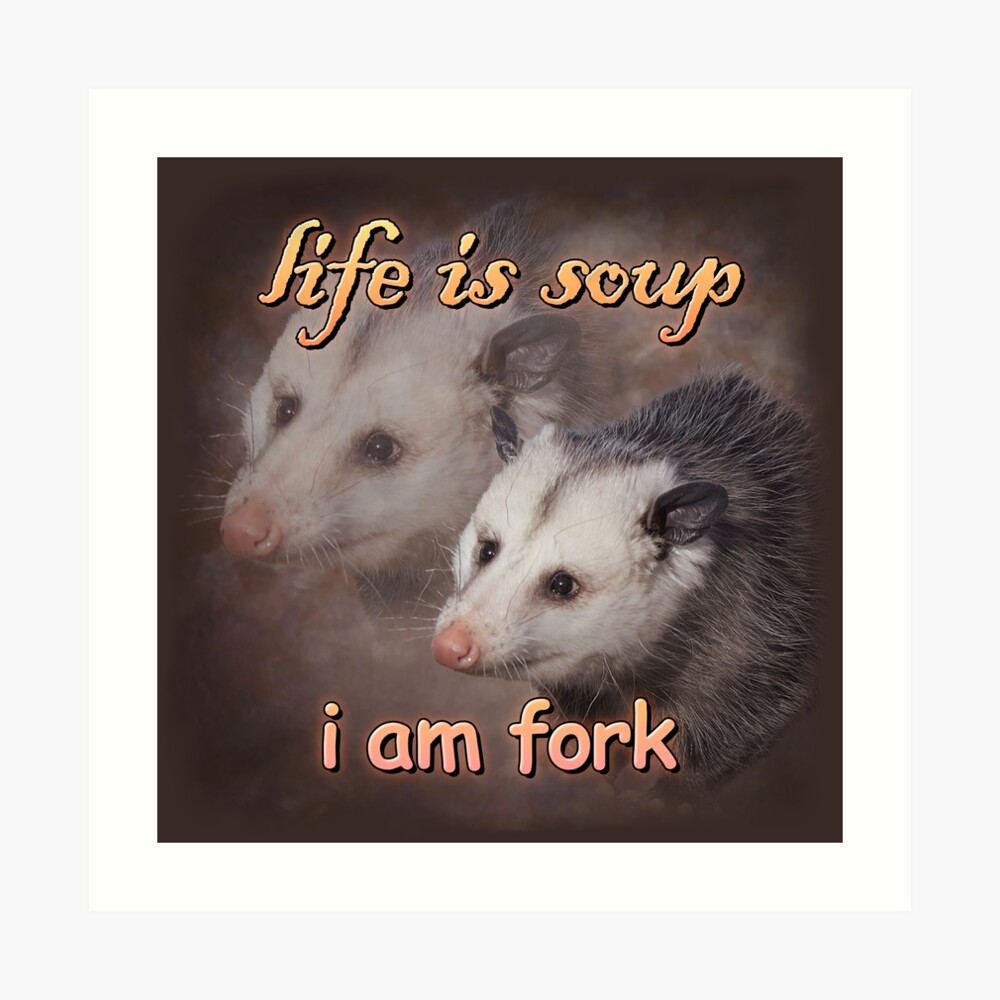 Life is soup, I am fork possum word art Magnet for Sale by snazzyseagull