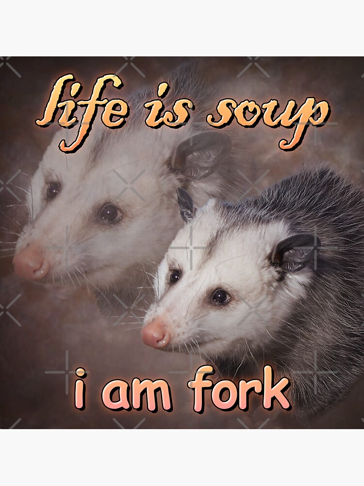 Life is soup, I am fork possum word art Magnet for Sale by snazzyseagull