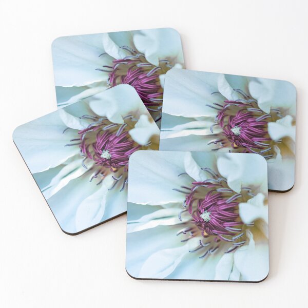 Item preview, White pink clematis flower designed and sold by marcrolandscape.