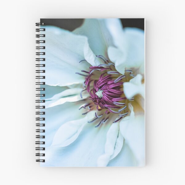 Item preview, White pink clematis flower designed and sold by marcrolandscape.
