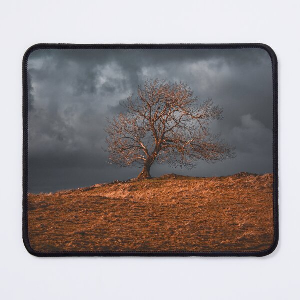 Item preview, Dramatic firey tree on a stormy winter sky in the Lake District designed and sold by chiaravisuals.