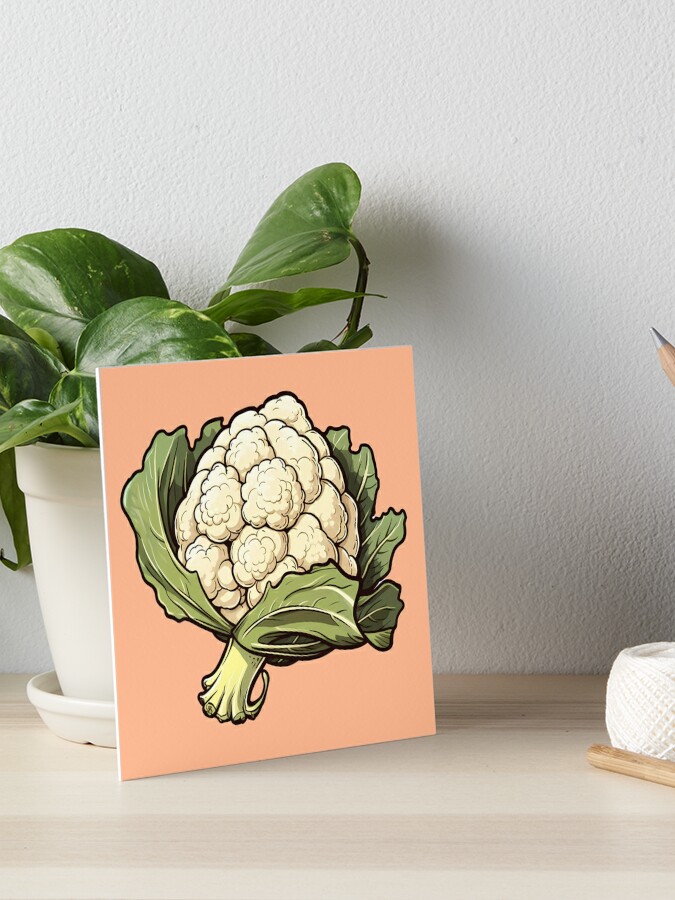 6,774 张Cauliflower drawing 免版税照片和库存图片| Shutterstock