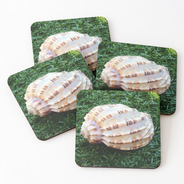 Item preview, Harp Seashell designed and sold by Shellgirlpearl.