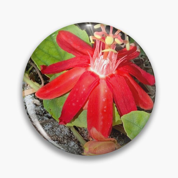Item preview, Exotic Red Flower designed and sold by aurorarealis.