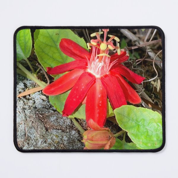 Item preview, Exotic Red Flower designed and sold by aurorarealis.