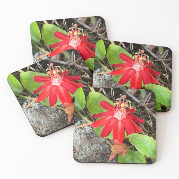 Item preview, Exotic Red Flower designed and sold by aurorarealis.